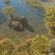 Illustration for article titled Stories of the Albion Online Steppes!